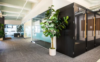 Commercial Movers in Texas | Office Relocation Services for Businesses